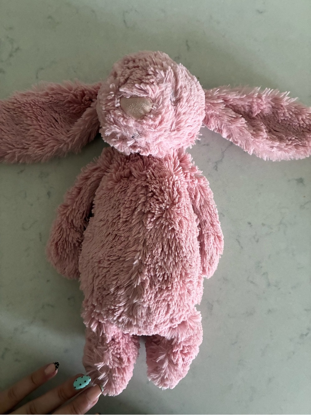 Jellycat bashful bunny tulip or petal 🌷💘